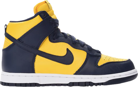 Nike Dunk High Retro Michigan (W)