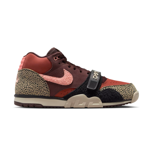 Nike SB Air Trainer 1 x Arts-Rec Skateshop Earth and Dusty Peach